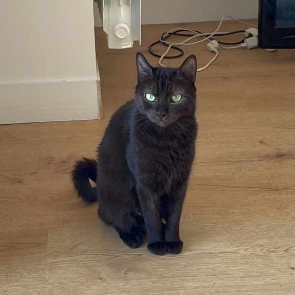 Photo de Ombra