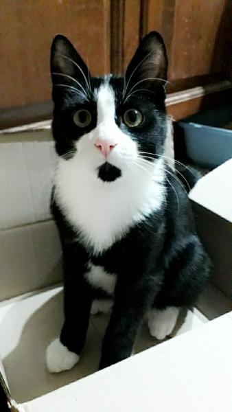 Bébé