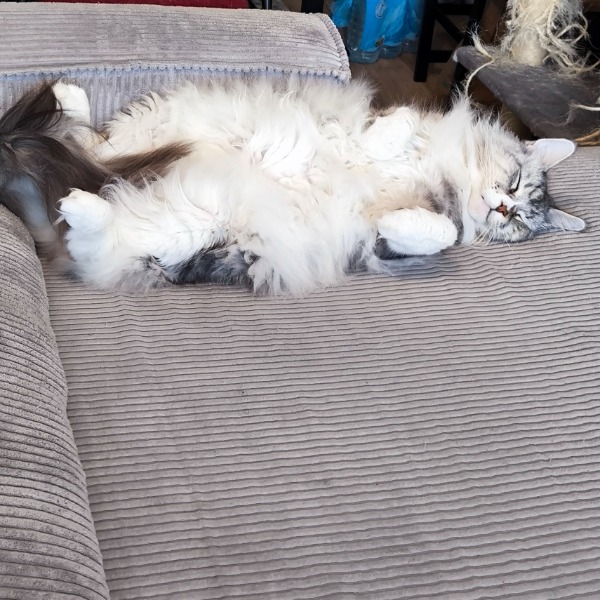 Malibu