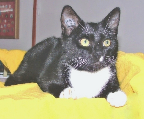 Photo de Zoé