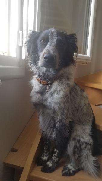 Photo de PÉPITO