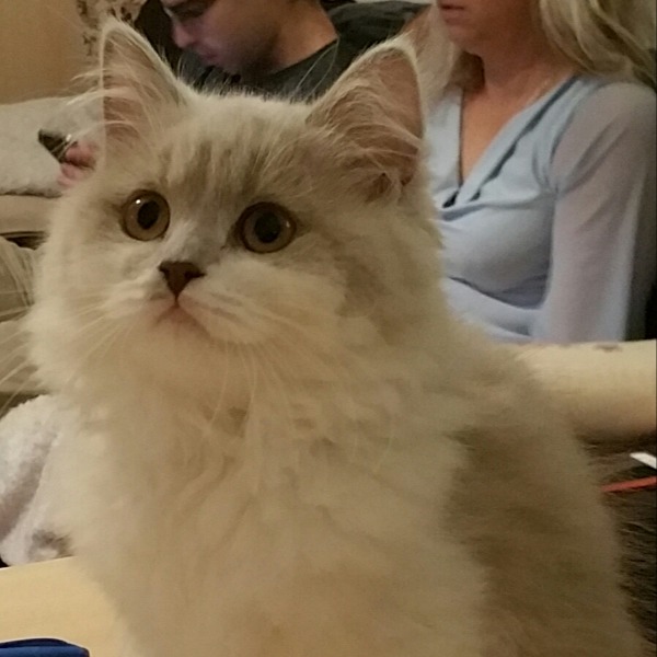 Photo de NINA