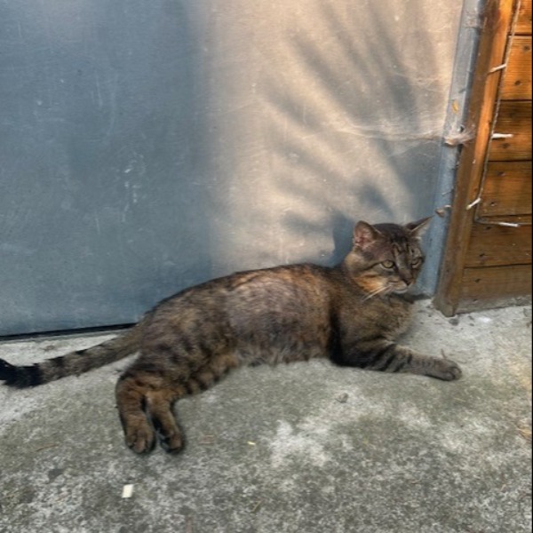 Photo de Bingo