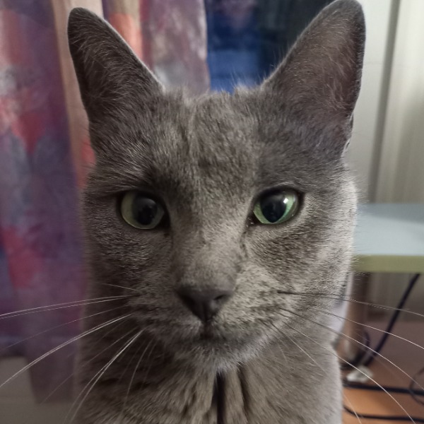 Luna