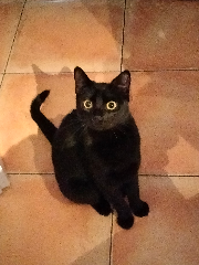 Photo de Sokette