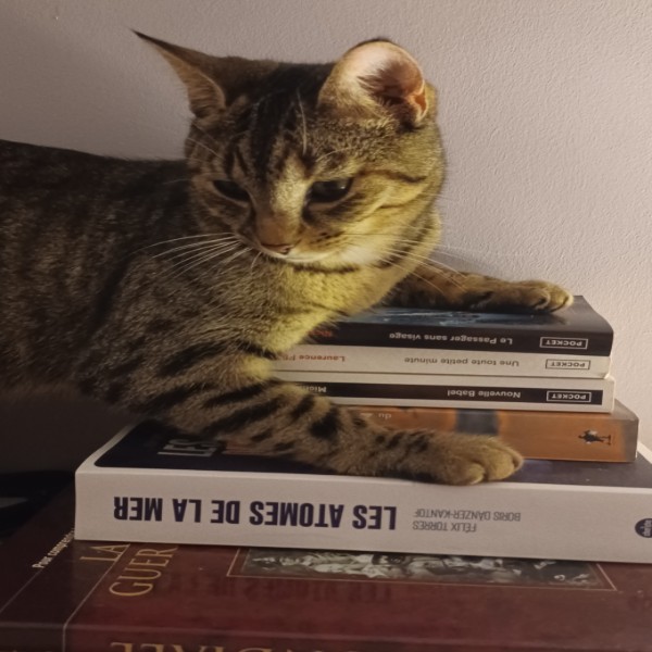 Photo de UPPA