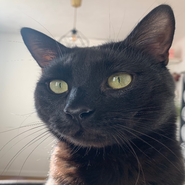 Cosmo