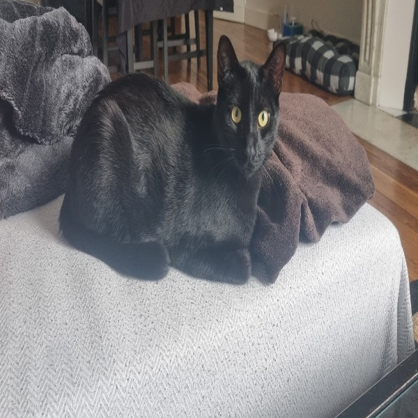 Salem