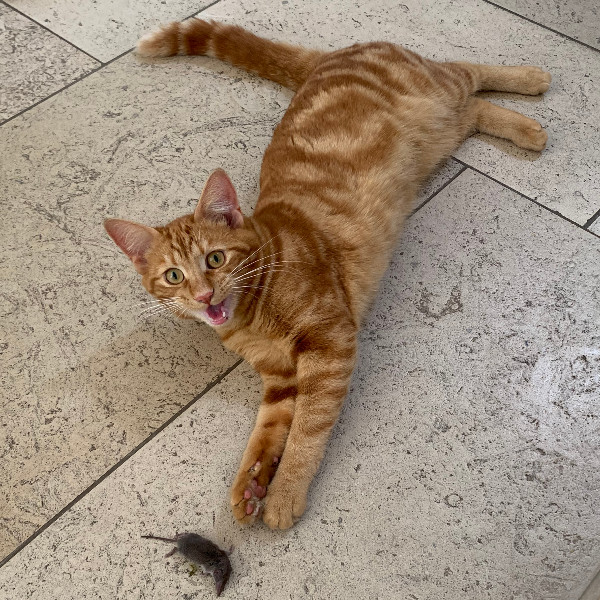 Photo de Caramel