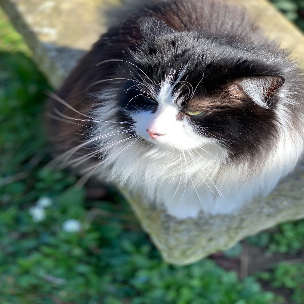 Photo de LILOU