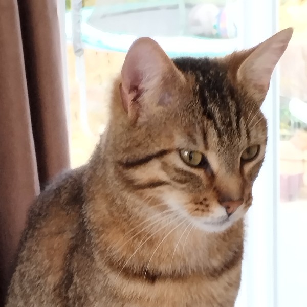Photo de Pixel
