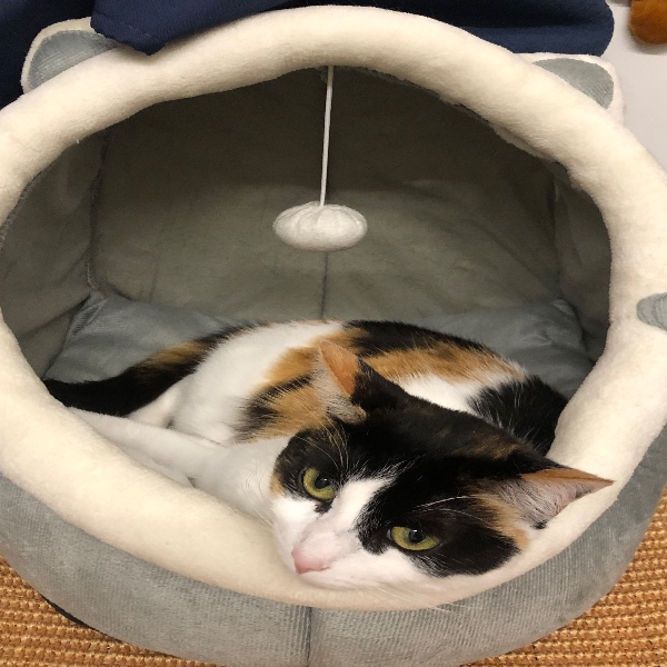 Mia
