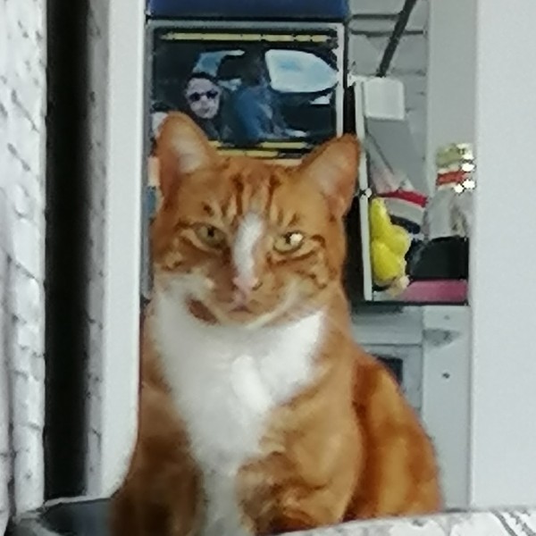Photo de CARAMEL