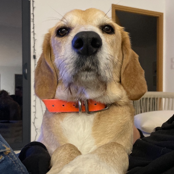 Photo de Aloha