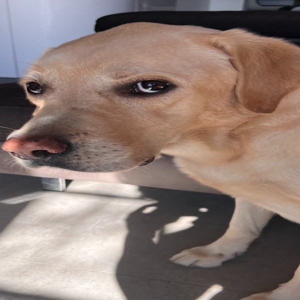Photo de Néo