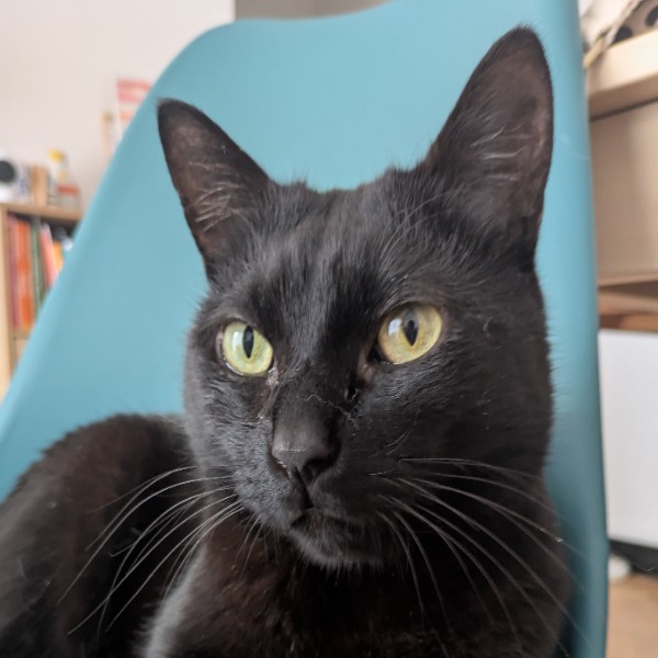 Léon