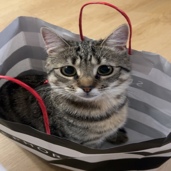 Photo de Bichette