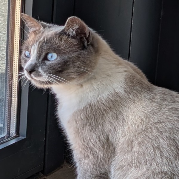 Photo de Moka