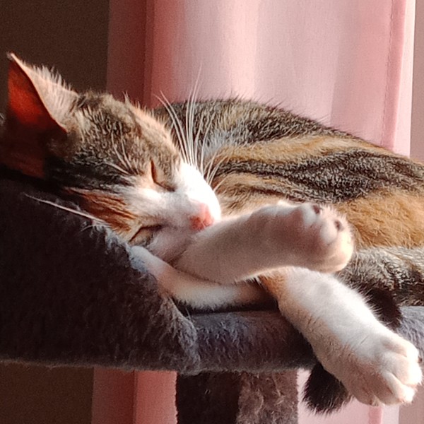 Photo de Sambela