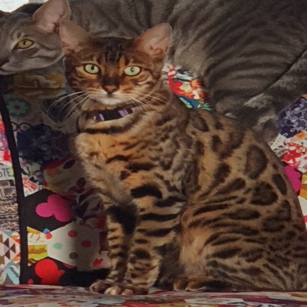 Photo de Maia
