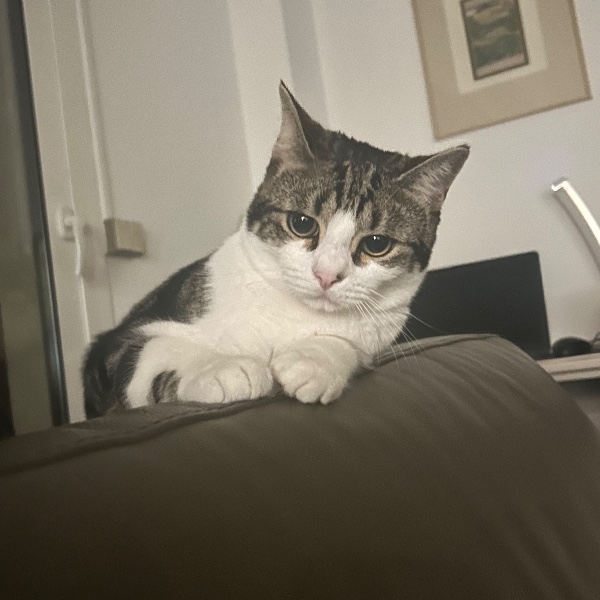 Photo de Vinnie
