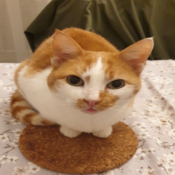 Kira