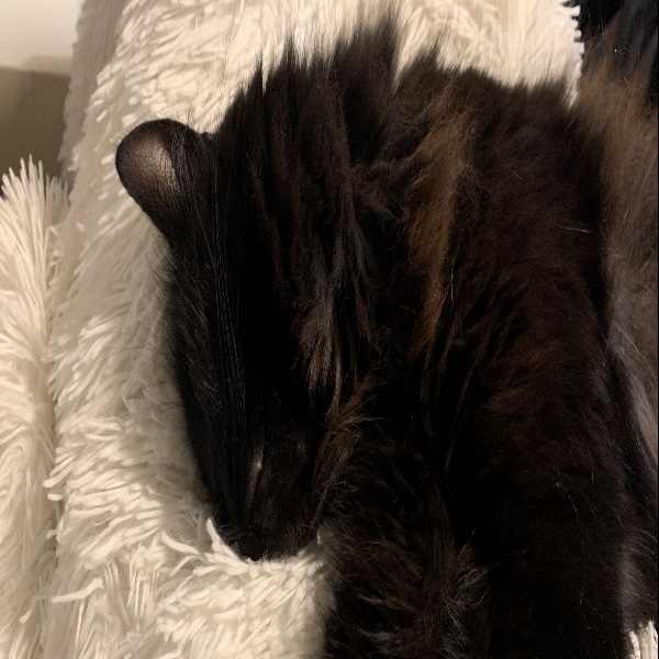 Photo de Pylou
