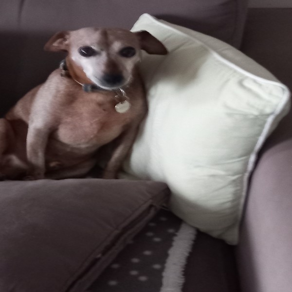 Photo de Bibi