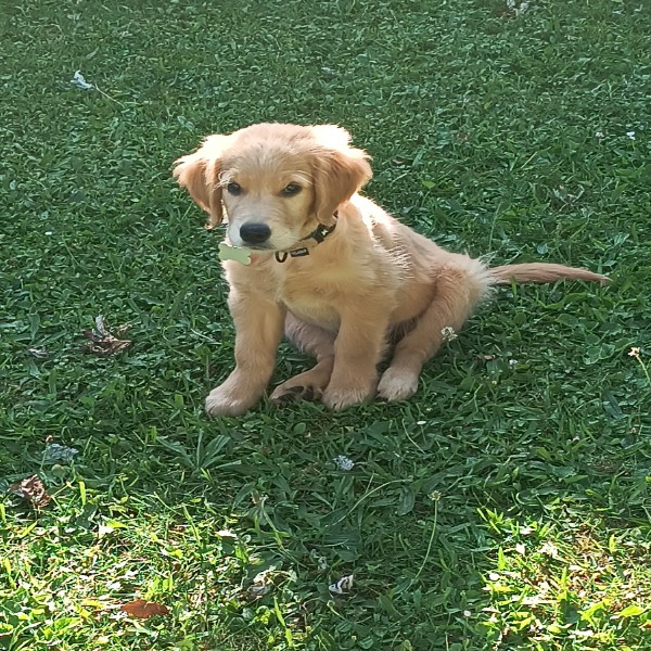 Photo de AYA