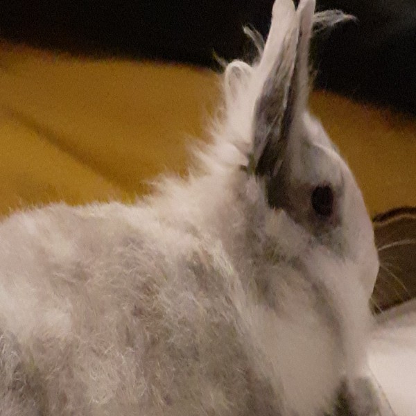 Photo de Theodora