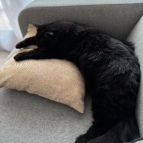 Photo de Kiko