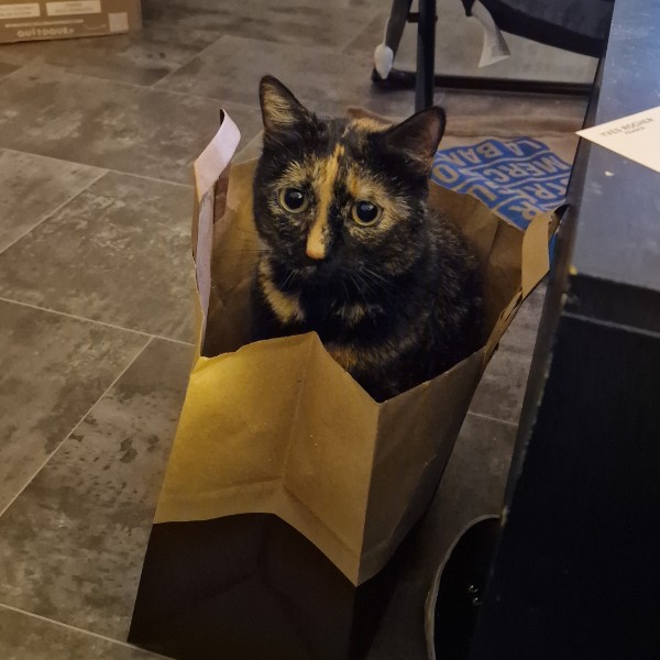 Photo de Nala
