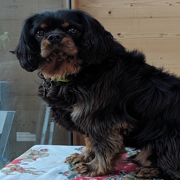 Photo de REGGAE NIGHT