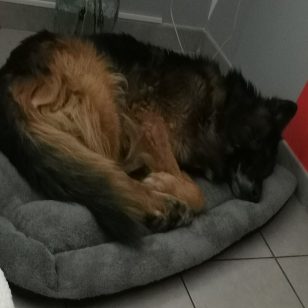 Photo de Nanouk