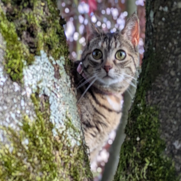 Photo de Winnie
