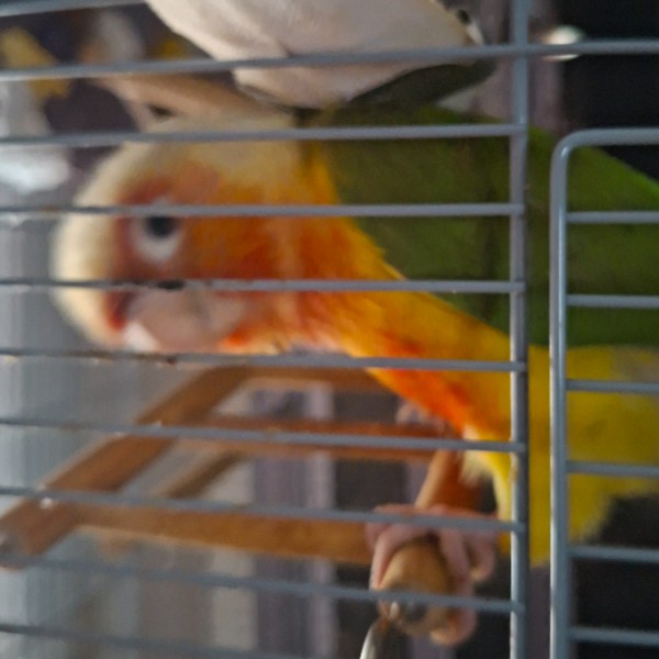 Photo de Alpha