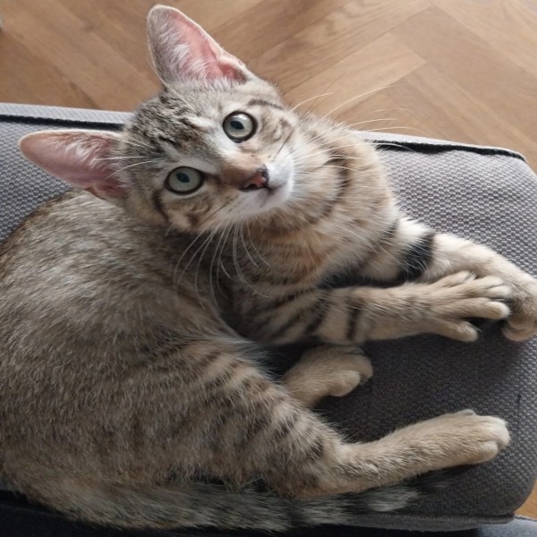 Photo de Lucette