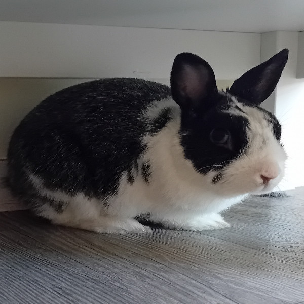 Arthur