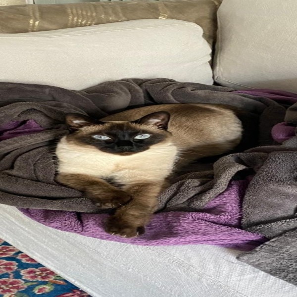 Photo de Doudou (surnom, officiellement Dulce)