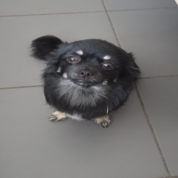 Viky