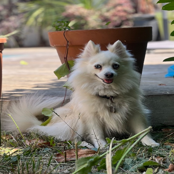 Photo de Roxy