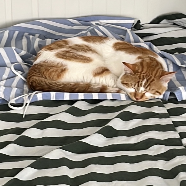 Photo de Mimi