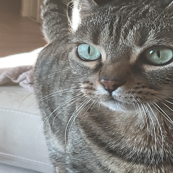 Photo de Kira