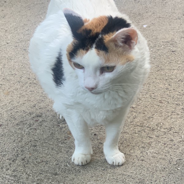 Photo de Zoé