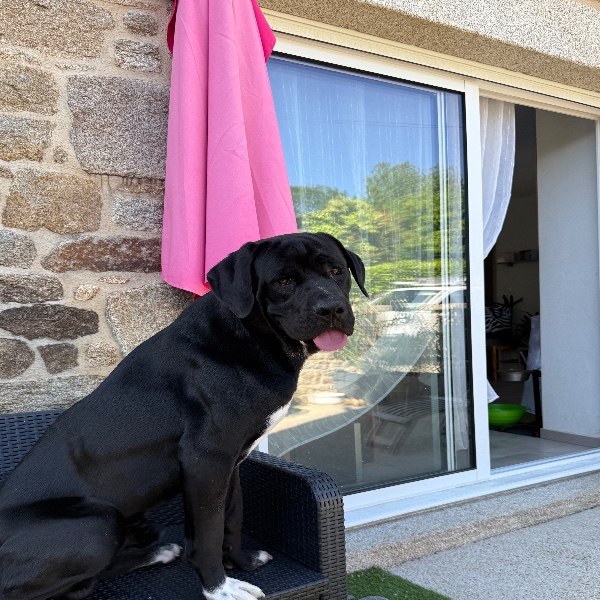 Photo de Iron