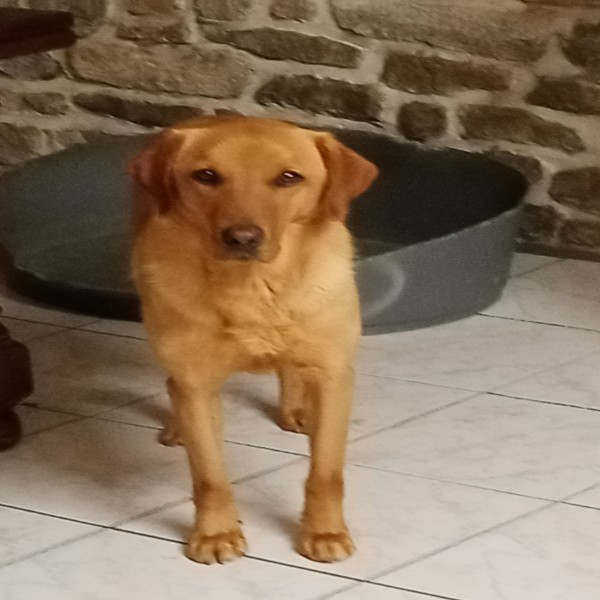 Rusty