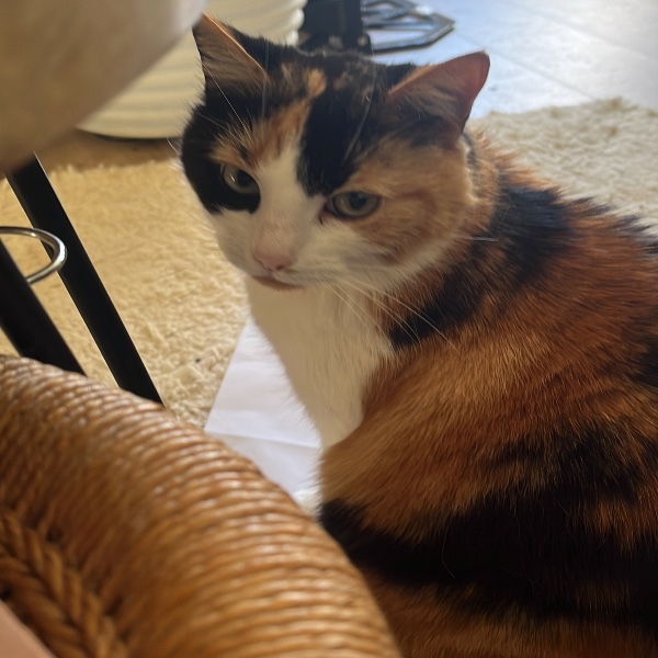 Photo de Lilou