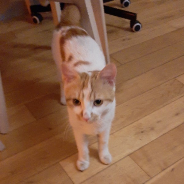Photo de Néo