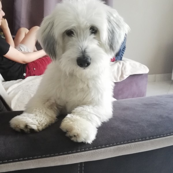 Photo de Pépito