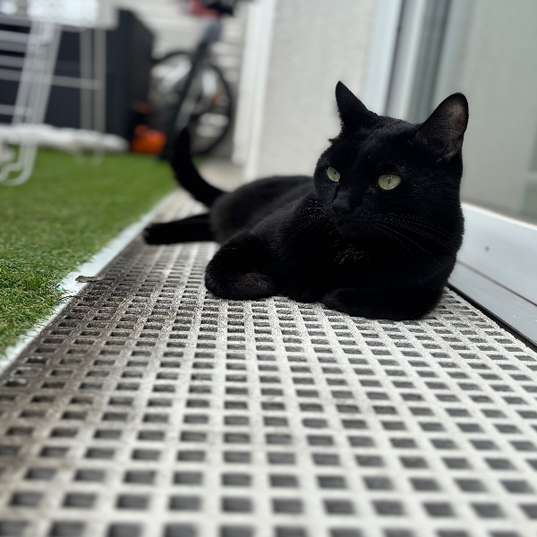 Photo de Blacky
